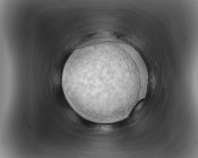 X0000084020665200703091949