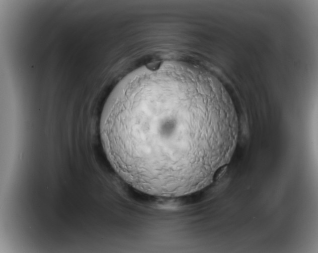 X0000084020667200703091949