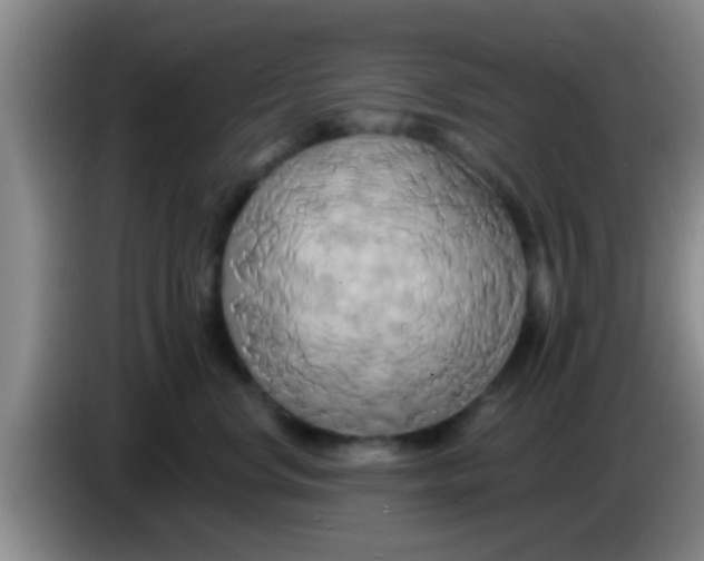 X0000084020668200703091949