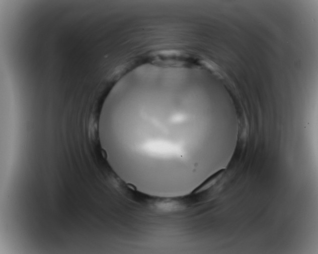 X0000084020669200703091949