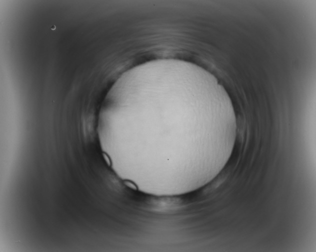 X0000084020670200703091949