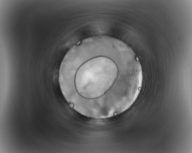 X0000084020672200703091949