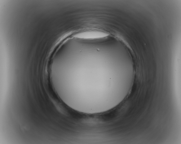 X0000084020674200703091948