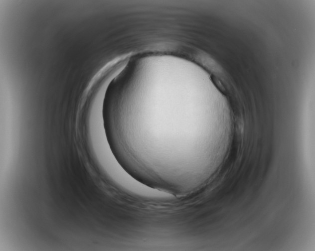 X0000084020676200703091948