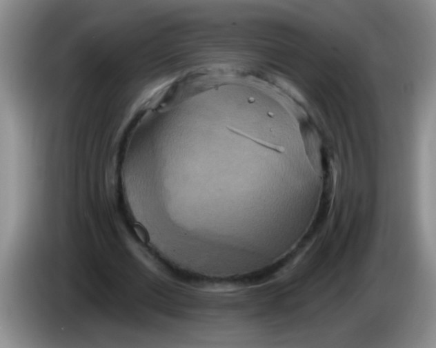 X0000084020677200703091948