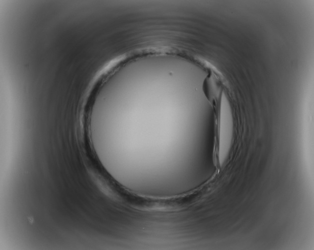 X0000084020678200703091948