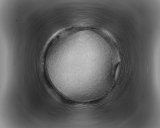 X0000084020680200703091948