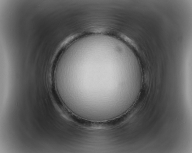 X0000084020682200703091948