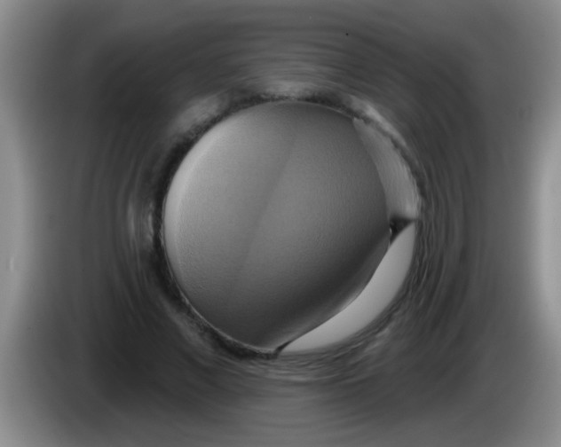 X0000084020685200703091948