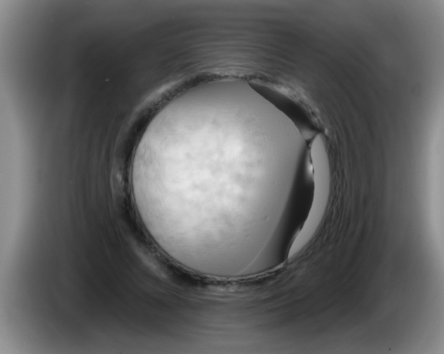 X0000084020688200703091948