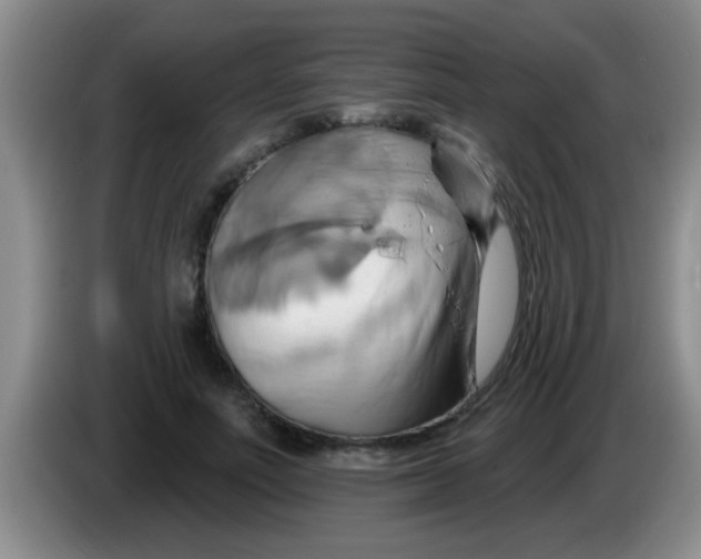 X0000084020691200703091948