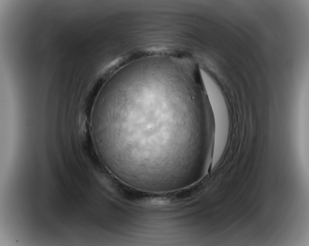 X0000084020692200703091948