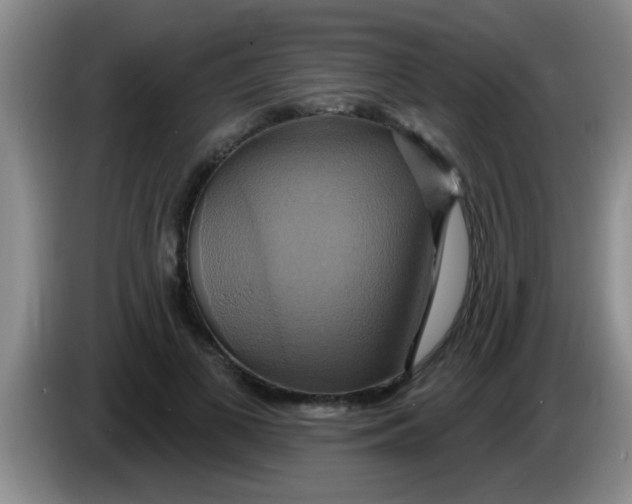 X0000084020693200703091948