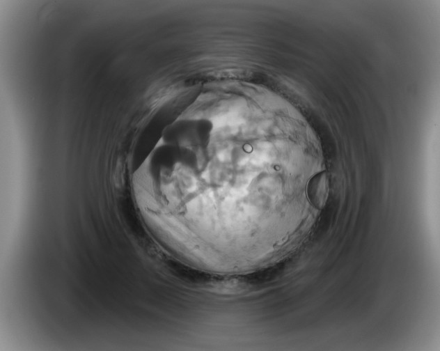 X0000084020695200703091948