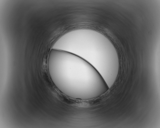 X0000084020696200703091948