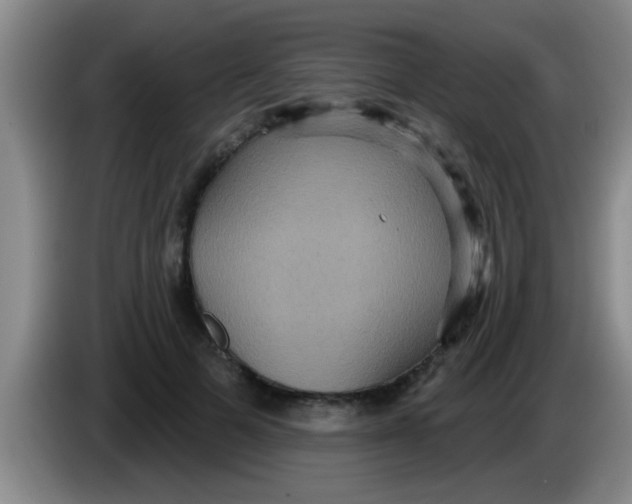 X0000084020697200703091948