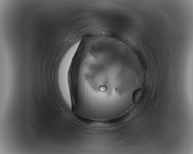 X0000084020699200703091948