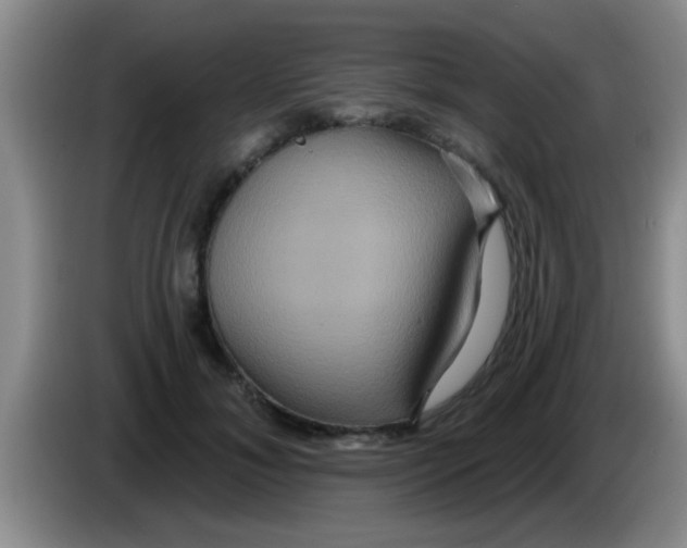 X0000084020700200703091948