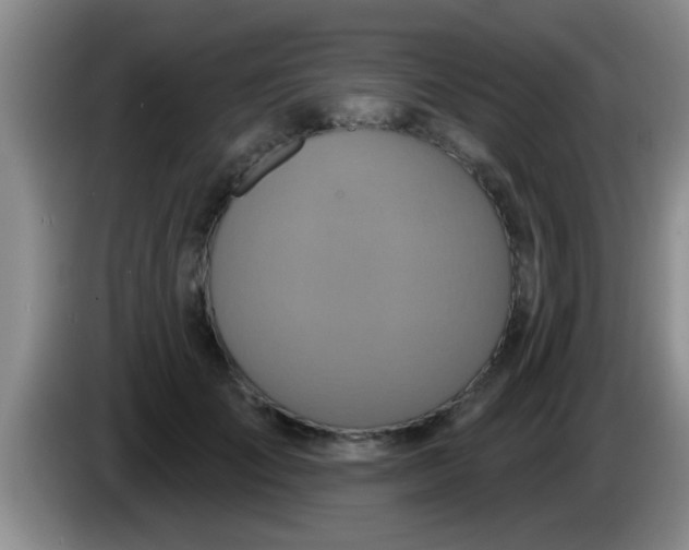 X0000084020701200703091948