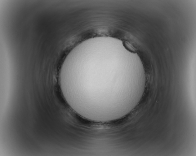 X0000084020702200703091948