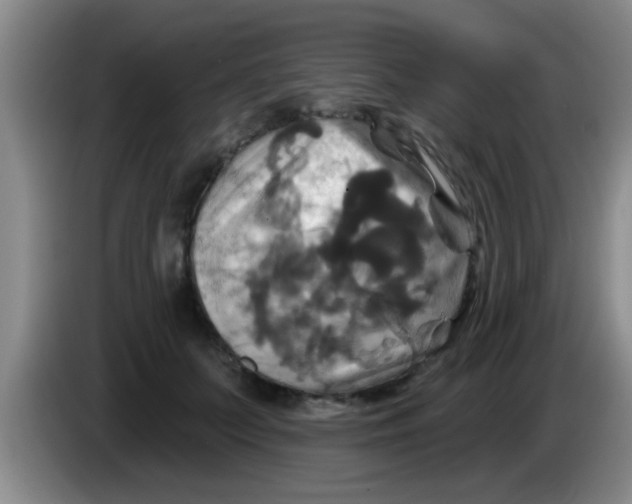 X0000084020703200703091948