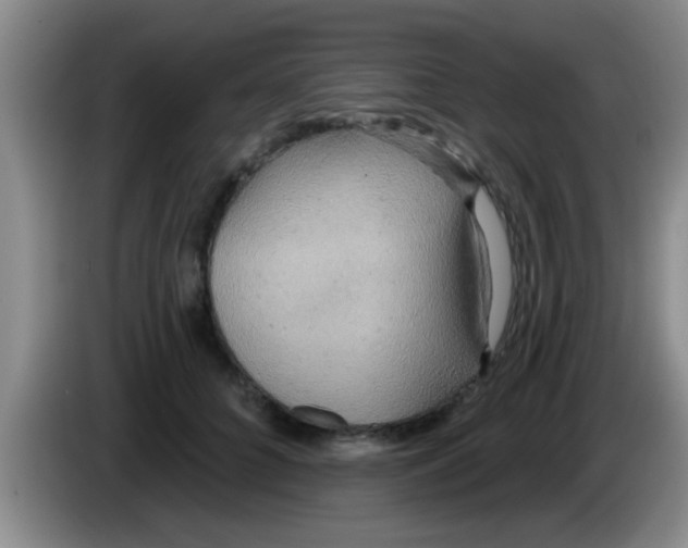 X0000084020704200703091948