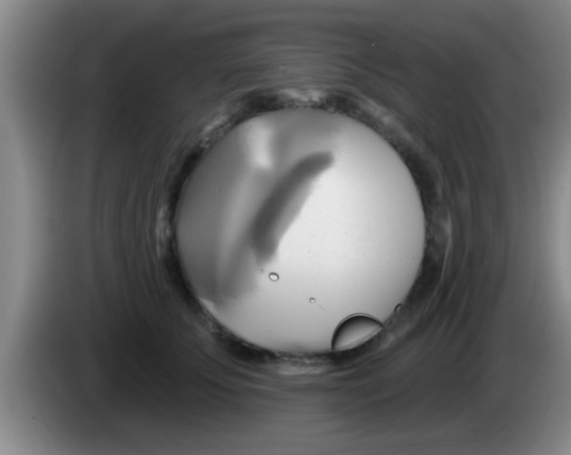 X0000084020707200703091948