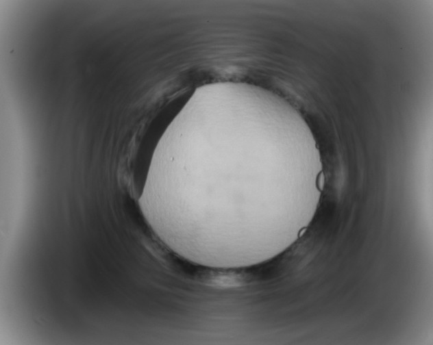 X0000084020710200703091948