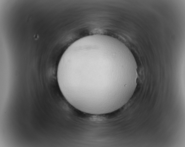 X0000084020714200703091948