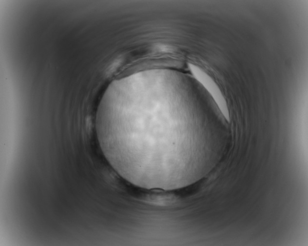 X0000084020716200703091948