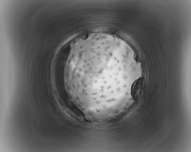 X0000084020721200703091947