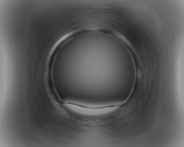 X0000084020724200703091947