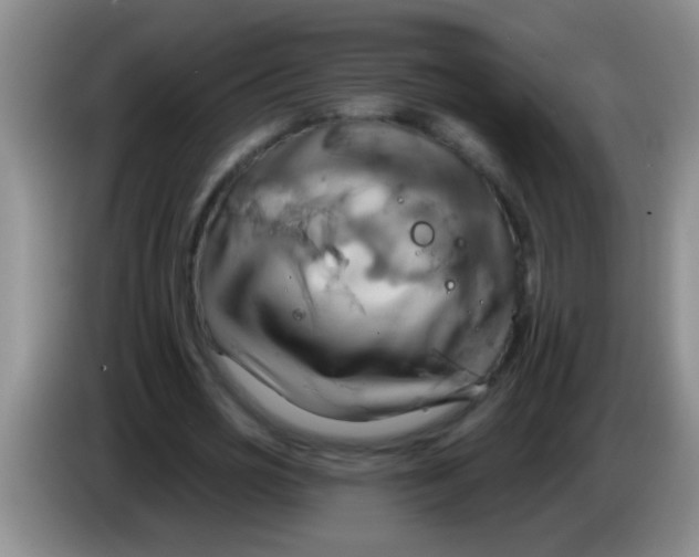 X0000084020725200703091947