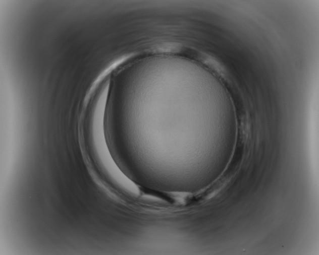 X0000084020726200703091947