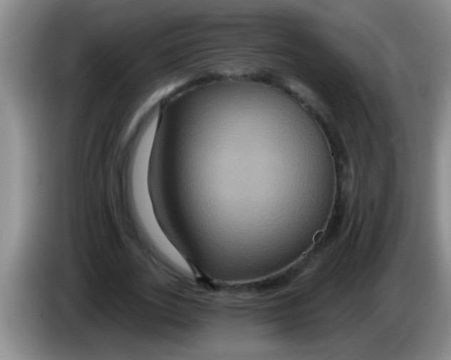 X0000084020727200703091947