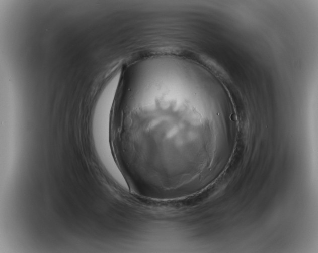 X0000084020729200703091947