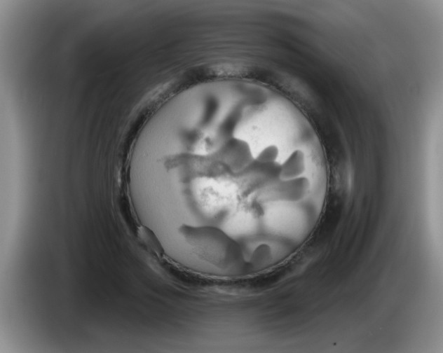 X0000084020733200703091947