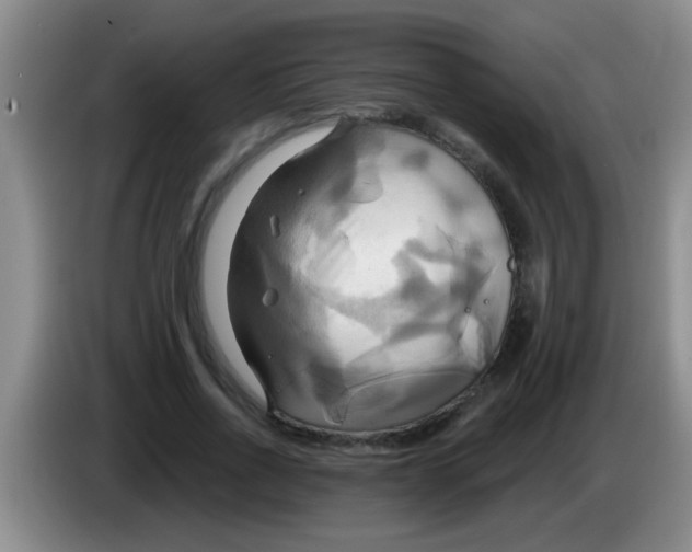 X0000084020734200703091947