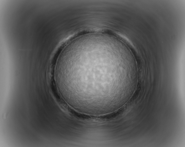 X0000084020736200703091947