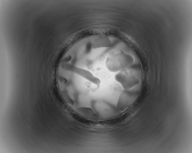 X0000084020737200703091947