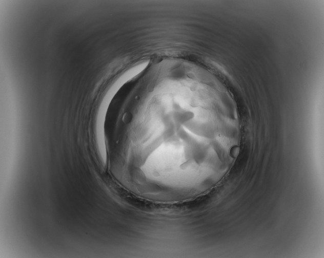 X0000084020738200703091947