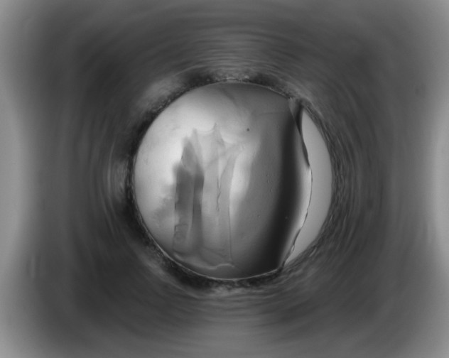 X0000084020742200703091947