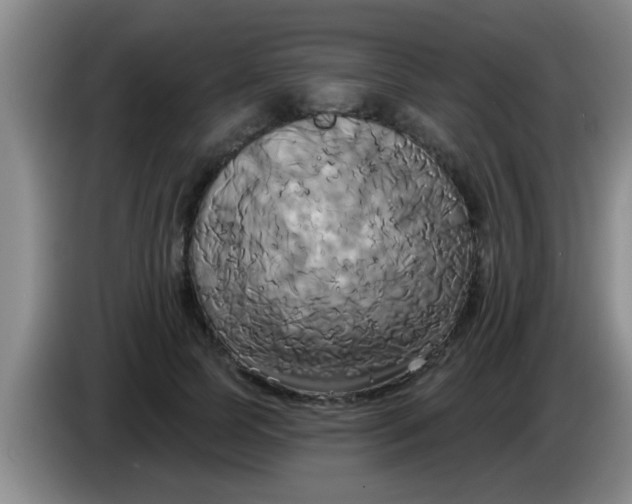 X0000084020745200703091947