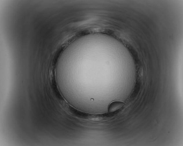 X0000084020746200703091947