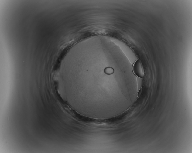 X0000084020747200703091947