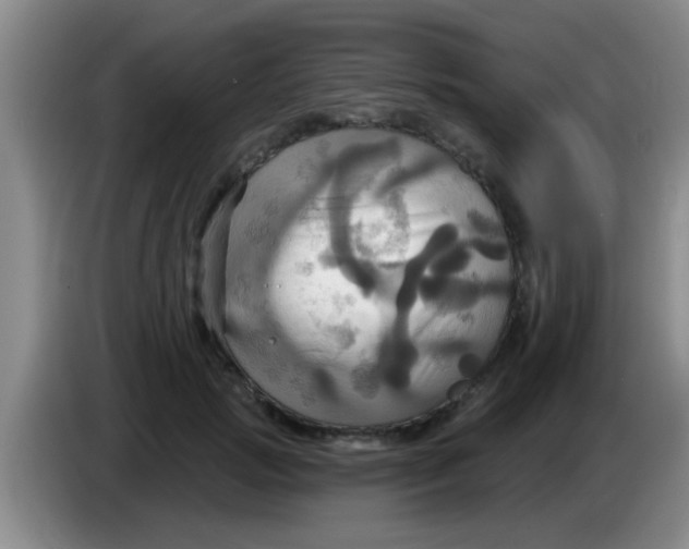 X0000084020749200703091947