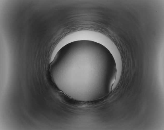 X0000084020750200703091948