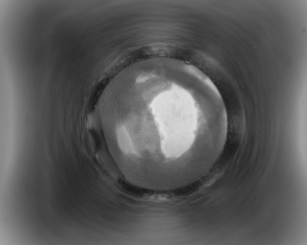 X0000084020751200703091948