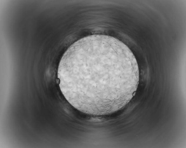 X0000084020753200703091948