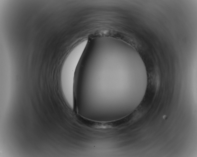 X0000084020754200703091948